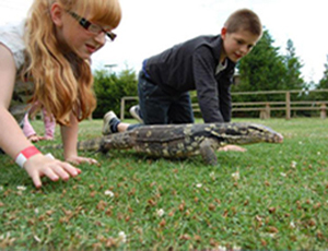 Animal Education